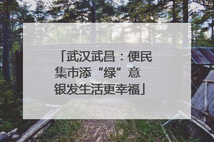 武汉武昌：便民集市添“绿”意 银发生活更幸福